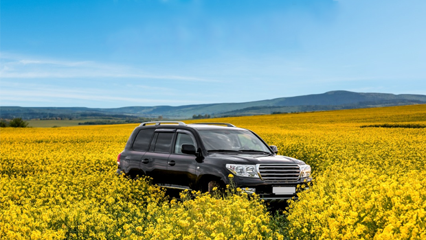 Preparando o Carro para a Primavera: Cuidados Essenciais
